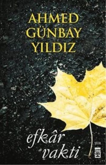 Efkar Vakti, Ahmed Günbay Yıldız