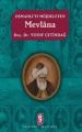 Osmanlıyı Müjdeleyen Mevlana, Yusuf Çetindağ