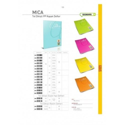 GIPTA MİCA TEL DİKİŞLİ PP KAPAK A4 80 YP. ÇİZGİLİ