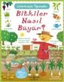 Bitkiler Nasıl Büyür? - Çıkartmayla Öğrenelim, Felicity Brooks, İş Bankası