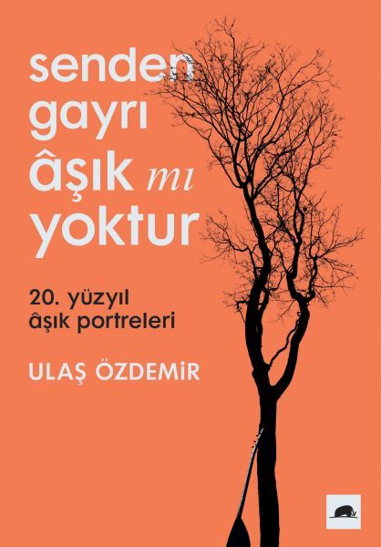 Senden Gayrı Aşık mı Yoktur, Ulaş Özdemir