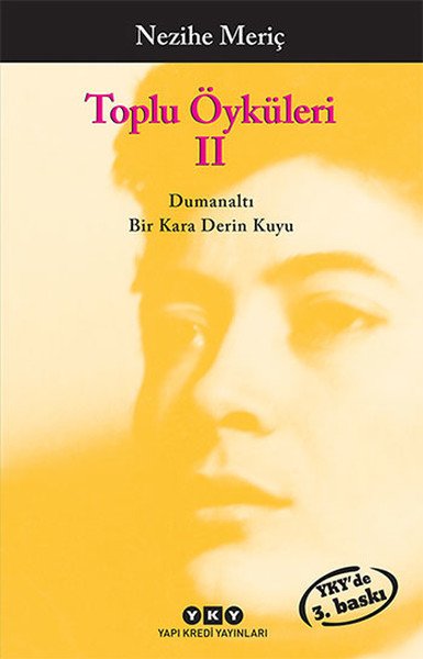 Toplu Öyküler 2, Nezihe Meriç