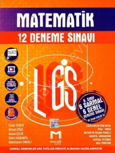 8. sınıf LGS Matematik 12 li Deneme Sınavı, Mozaik