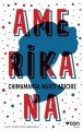 Amerikana, Chimamanda Ngozi Adichie