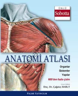 Anatomi Atlası; Sobotta Çizimleri -