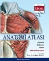 Anatomi Atlası; Sobotta Çizimleri -