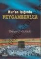 Kuran Işığında Peygamberler, Seyyid Kutub