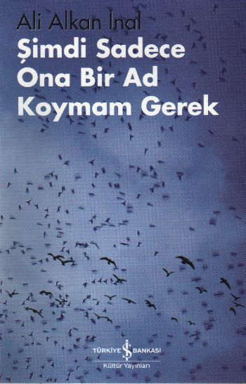 Şimdi Sadece Ona Bir Ad Koymam Gerek, Ali Alkan İnal