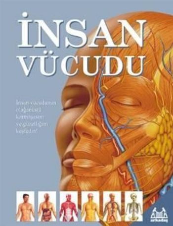 İnsan Vücudu, Kolektif, Arkadaş