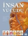 İnsan Vücudu, Kolektif, Arkadaş