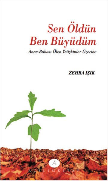 Sen Öldün Ben Büyüdüm; Anne Babası Ölen Yetişkinler Üzerine