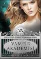 Vampir Akademisi, Richelle Mead
