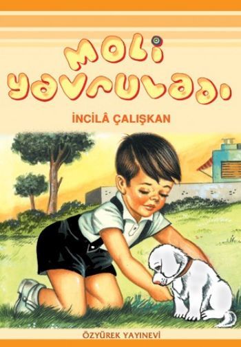 Moli Yavruladı, İncila Çalışkan, Özyürek Yayınları