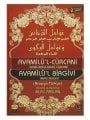 Avamilül Cürcani - Avamilül Birgivi, İmam Birgivi