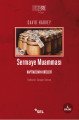 Sermaye Muamması, David Harvey