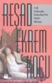 Aşk Yolunda İstanbul'da Neler Olmuş?, Reşad Ekrem Koçu, Doğan Kitap