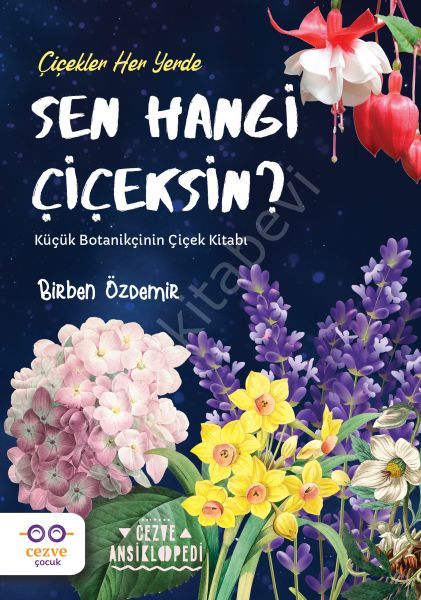 Sen Hangi Çiçeksin, Birben Özdemir