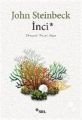 İnci, John Steinbeck, Sel Yayıncılık
