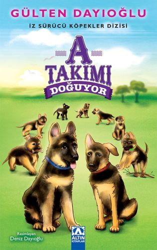 A Takımı Doğuyor, Gülten Dayıoğlu
