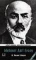 Mehmed Akif Ersoy, Recep İhsan Eliaçık, İlke Yayıncılık