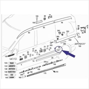 Vito W639 Arka Çamurluk Çıtası/Kaplama/SAĞ Badem/Bakalit