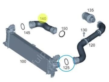 Vito W447 622 Reno Motor Turbo Hortumu Contası/İntercooler Hortum Halka Conta SOL ALT