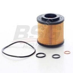 Bmw E46/E81/E82/E87/E88/E90/E91/E92/E93/E60/E61/X1 E84/X3 E83 N40/N42/N43/N45/N46 Motor Yağ Flitresi
