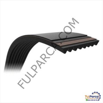 Vito W639/Sprinter 315/515 Euro 4/W203/W204/W211  646 Motor V Kayışı