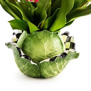 Cabbage Arrangement