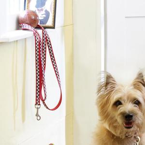 Courtly Check/Red Pet Lead - Small