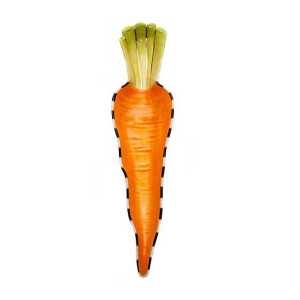 Carrot Dish