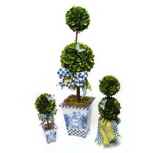 Royal Boxwood Topiary - Mini