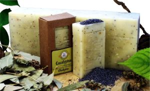 Okaliptus Tozu / Eucalyptus Powder 95 gr