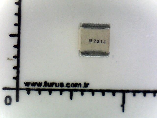 220 pF 500 Volt