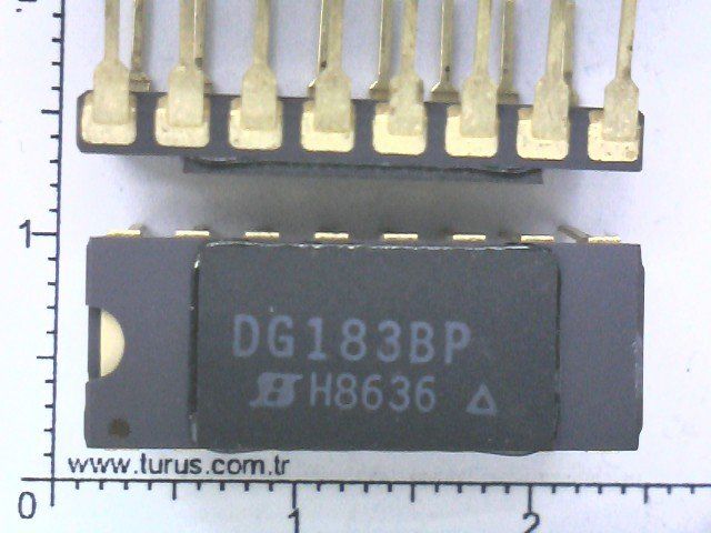 DG183BP