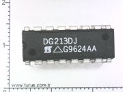 DG213DJ