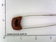 100 pF  500 Volt