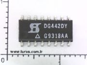 DG442DY