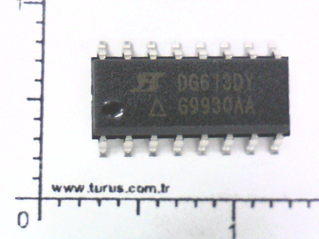 DG613DY-T1