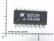 DG213DY