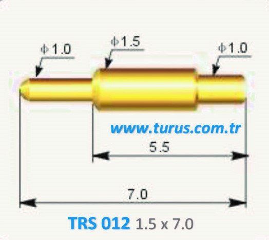 TRS 013