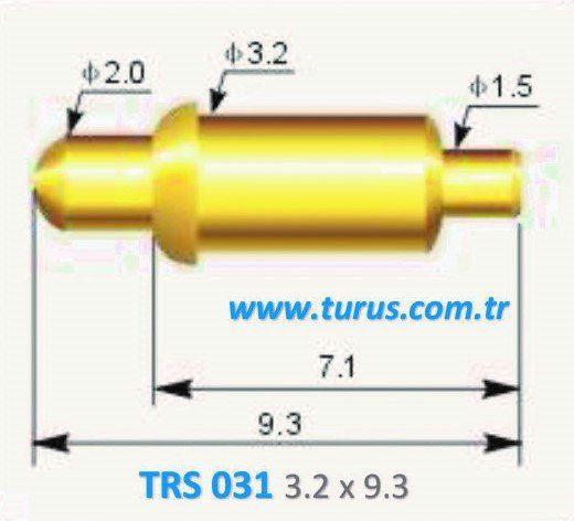 TRS 031