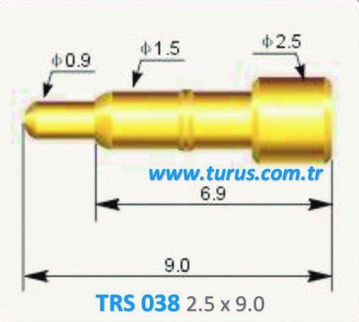 TRS 038