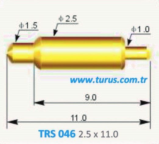 TRS 046