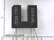 TCSS1100  (TK19)