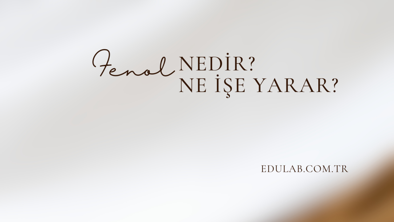 Fenol Nedir? I Ne İşe Yarar?