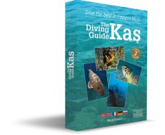 Kaş Dalış Rehberi-Diving Guide of Kaş