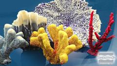 Simpact 60A Dayanıklı Elastik Hızlı Kürleşen Üretan Reçine