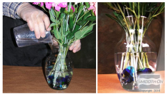 Encapso K Renksiz Şeffaf Obje Hapsetme için Üretan Reçine