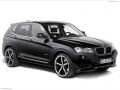 X3 SERİ F25 2010 -